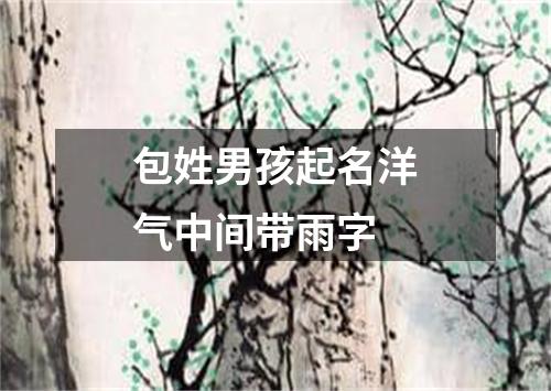 包姓男孩起名洋气中间带雨字