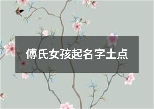 傅氏女孩起名字土点