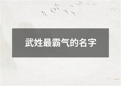 武姓最霸气的名字