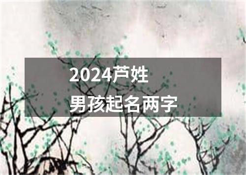 2024芦姓男孩起名两字