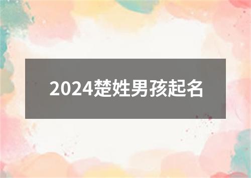 2024楚姓男孩起名