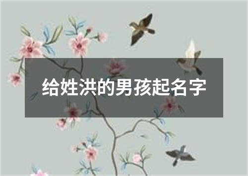 给姓洪的男孩起名字