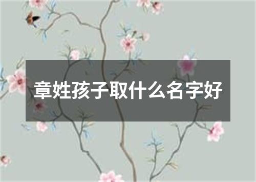 章姓孩子取什么名字好