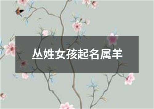 丛姓女孩起名属羊