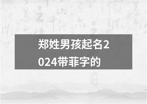 郑姓男孩起名2024带菲字的