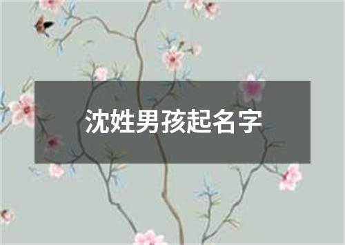 沈姓男孩起名字