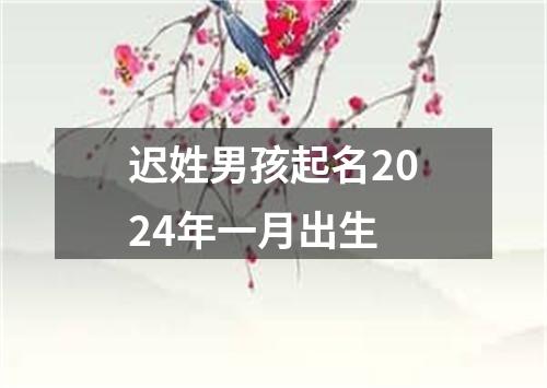 迟姓男孩起名2024年一月出生