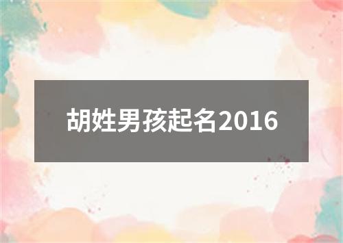 胡姓男孩起名2016