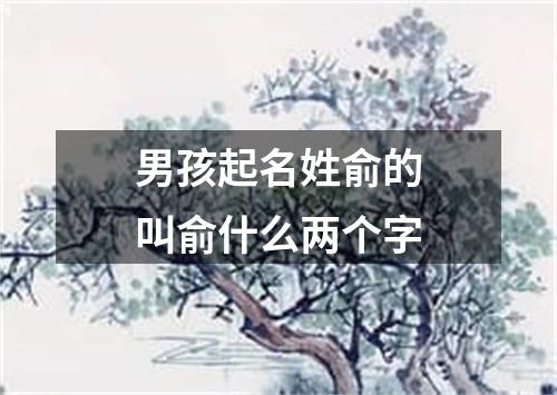 男孩起名姓俞的叫俞什么两个字