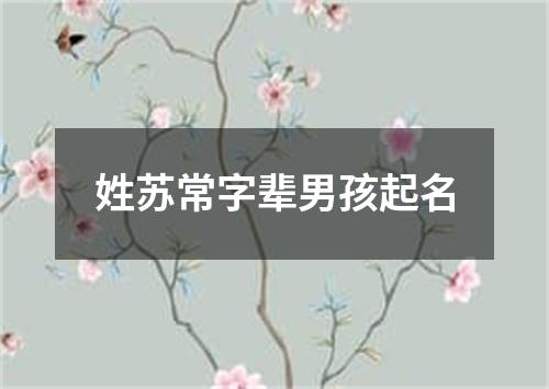 姓苏常字辈男孩起名