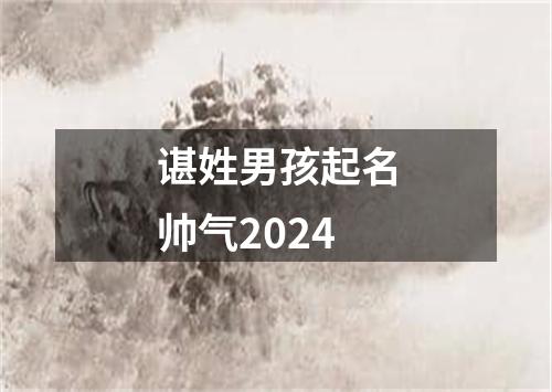 谌姓男孩起名帅气2024