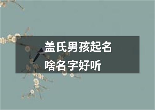 盖氏男孩起名啥名字好听