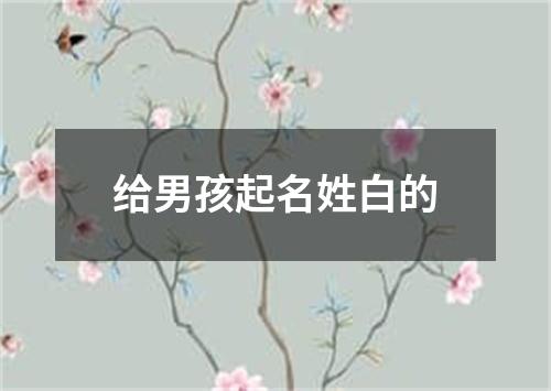 给男孩起名姓白的