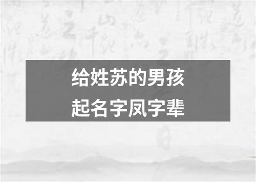 给姓苏的男孩起名字凤字辈