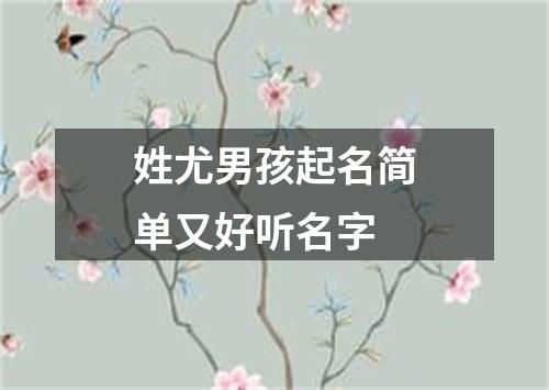 姓尤男孩起名简单又好听名字