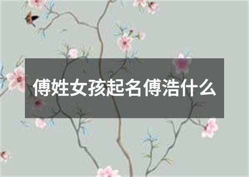 傅姓女孩起名傅浩什么