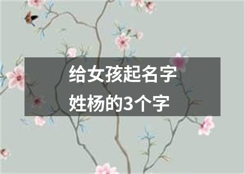 给女孩起名字姓杨的3个字