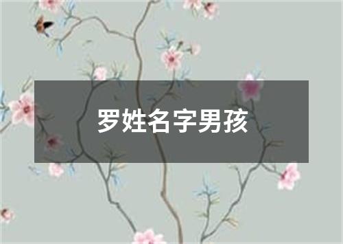 罗姓名字男孩