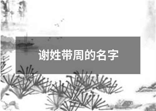 谢姓带周的名字