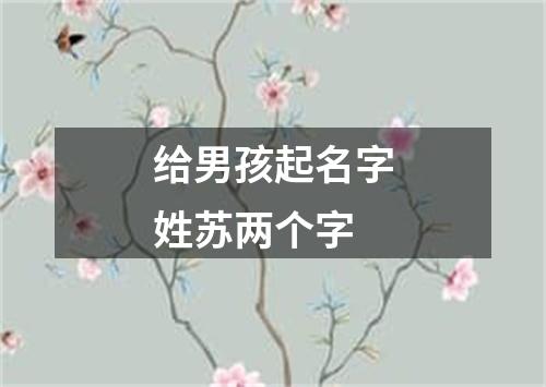 给男孩起名字姓苏两个字