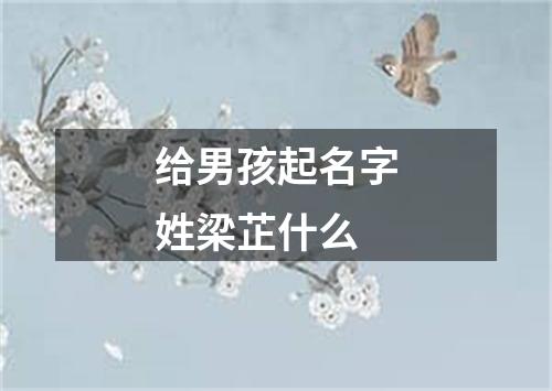 给男孩起名字姓梁芷什么