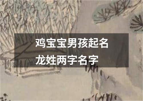 鸡宝宝男孩起名龙姓两字名字