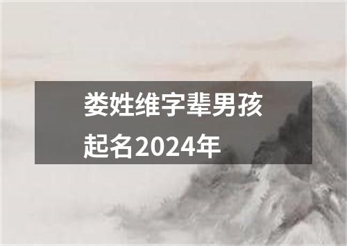 娄姓维字辈男孩起名2024年