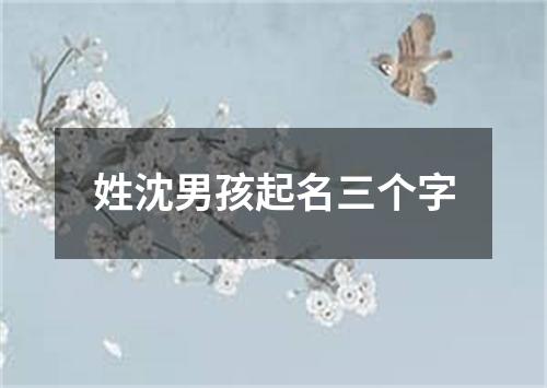 姓沈男孩起名三个字