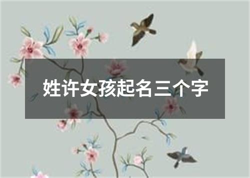 姓许女孩起名三个字