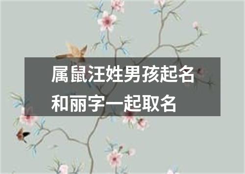 属鼠汪姓男孩起名和丽字一起取名