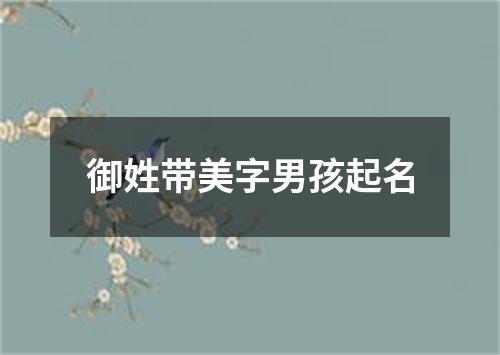 御姓带美字男孩起名