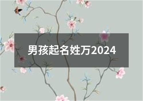 男孩起名姓万2024