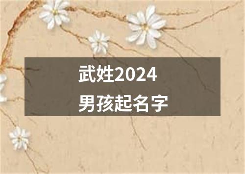 武姓2024男孩起名字