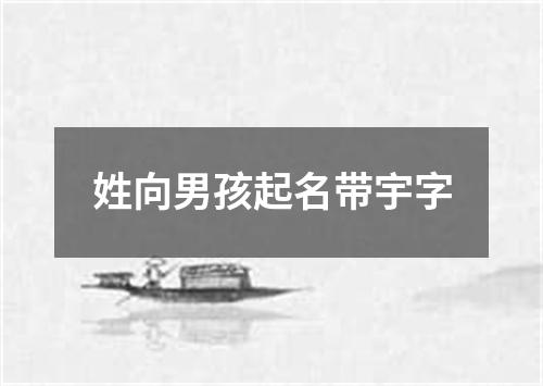 姓向男孩起名带宇字