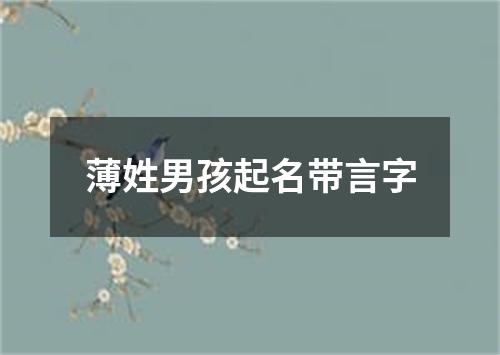 薄姓男孩起名带言字