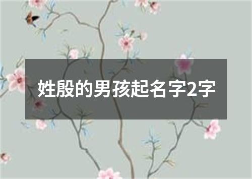 姓殷的男孩起名字2字