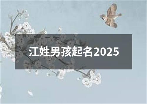 江姓男孩起名2025