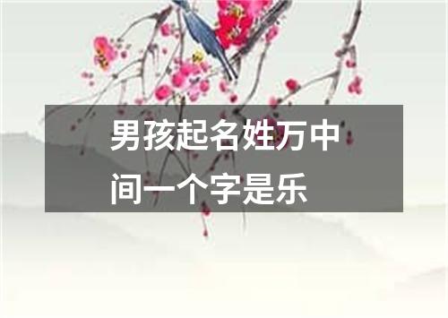 男孩起名姓万中间一个字是乐