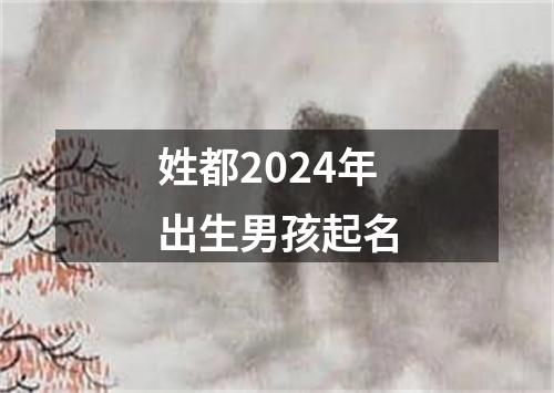 姓都2024年出生男孩起名