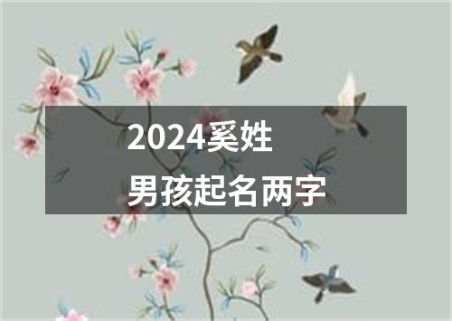 2024奚姓男孩起名两字