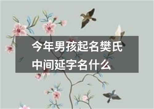 今年男孩起名樊氏中间延字名什么