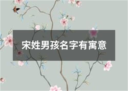 宋姓男孩名字有寓意