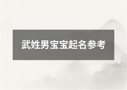 武姓男宝宝起名参考