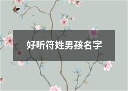 好听符姓男孩名字