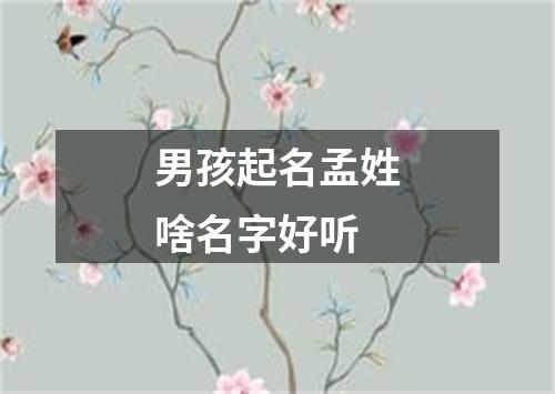 男孩起名孟姓啥名字好听