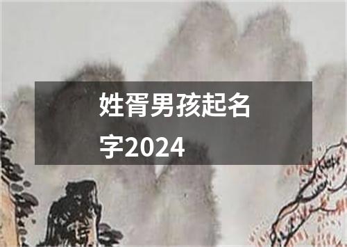 姓胥男孩起名字2024