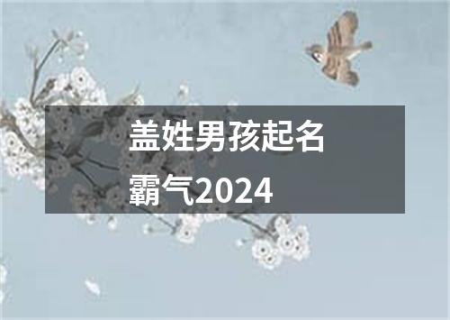 盖姓男孩起名霸气2024