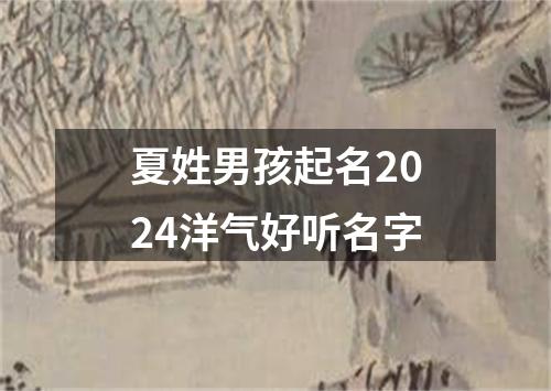 夏姓男孩起名2024洋气好听名字