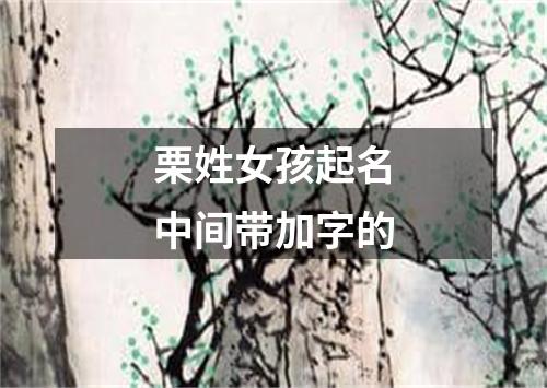 栗姓女孩起名中间带加字的