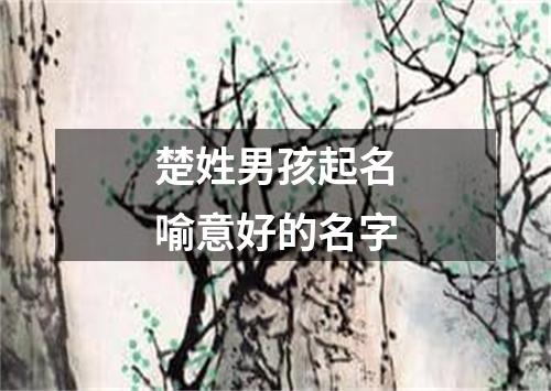 楚姓男孩起名喻意好的名字